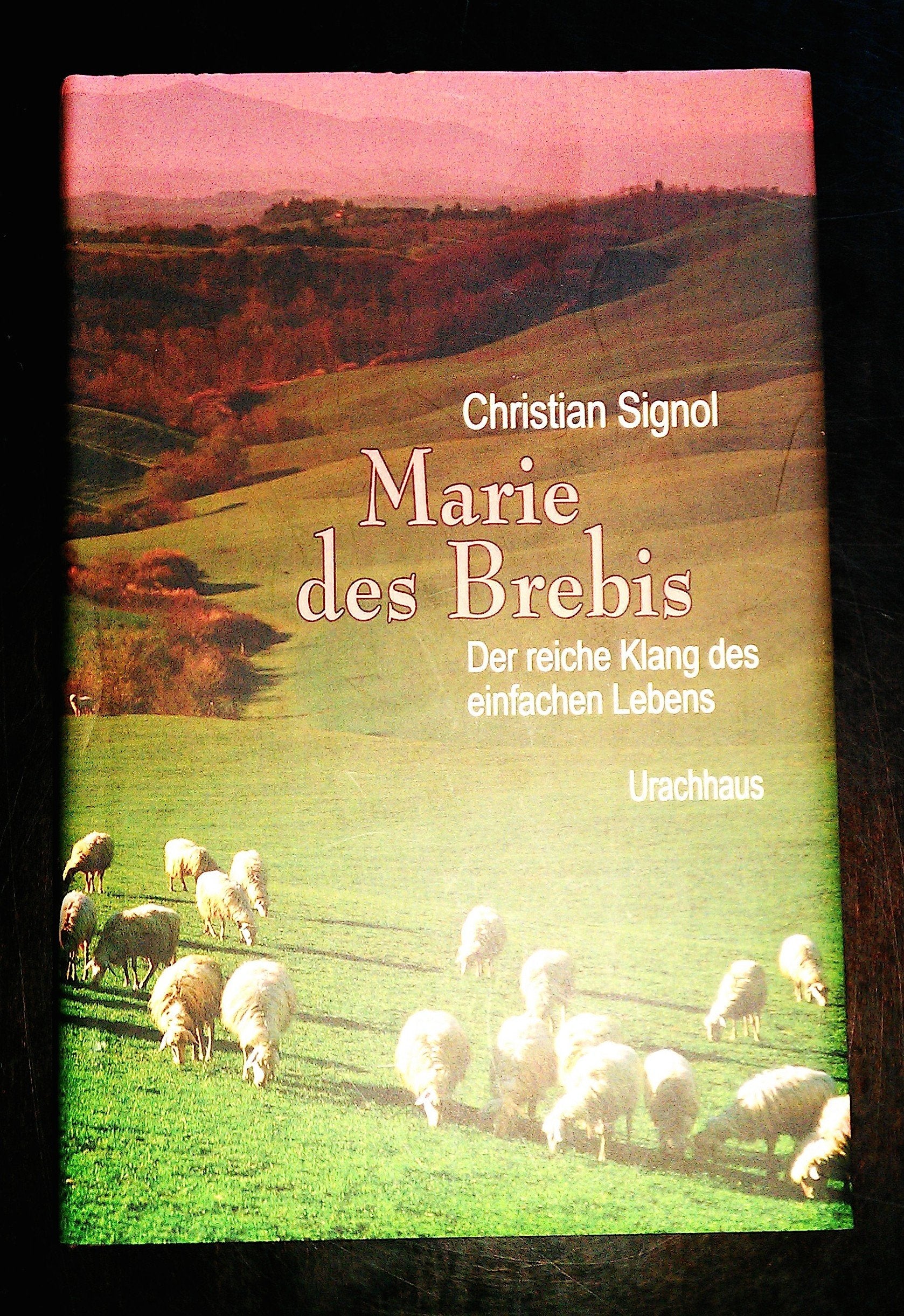 Marie des Brebis Contemporary literature