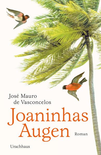 Joaninhas Augen: Roman Contemporary literature