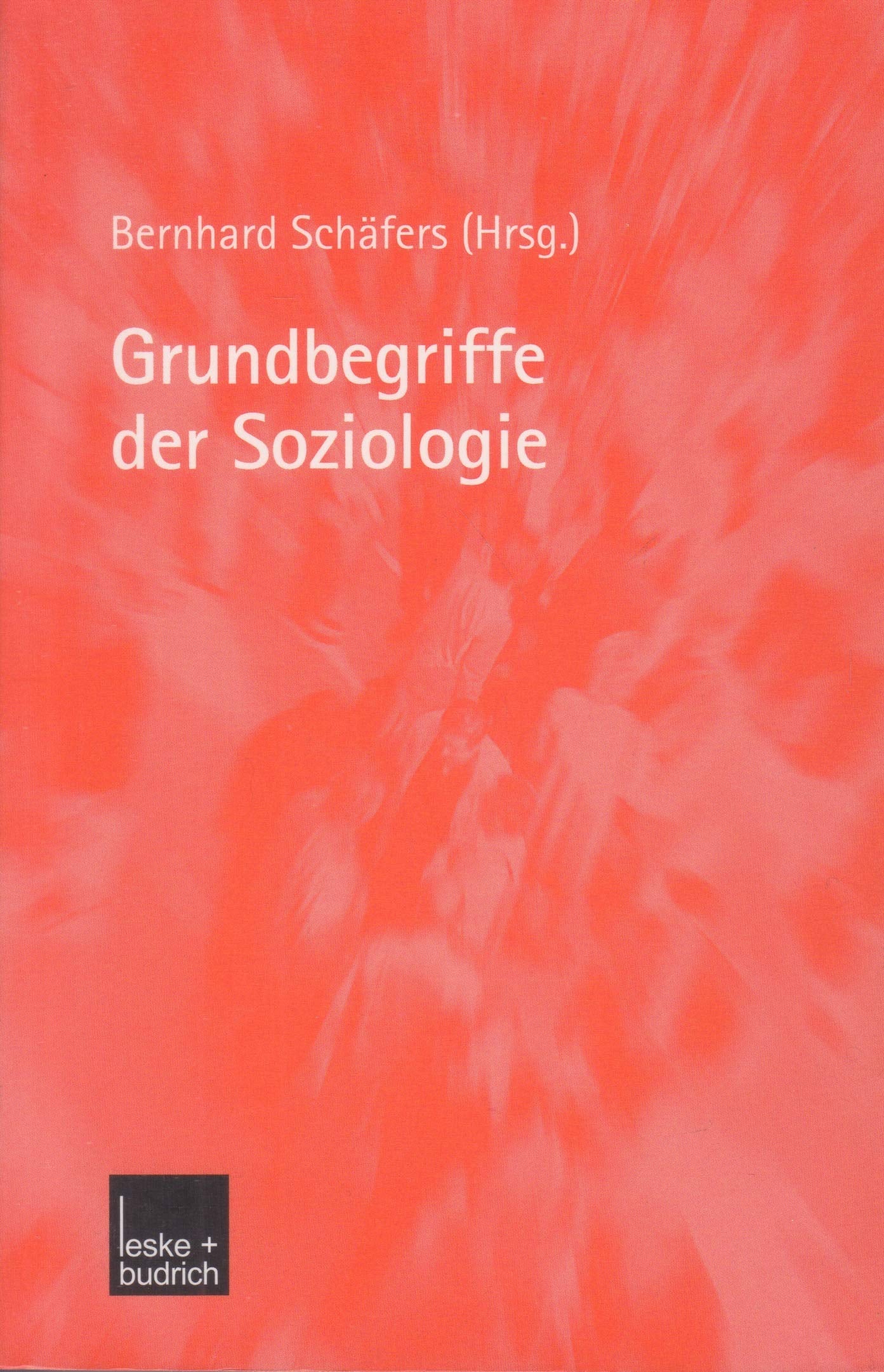 Grundbegriffe der Soziologie (UTB S (Small-Format): Uni-Taschenbücher) Books