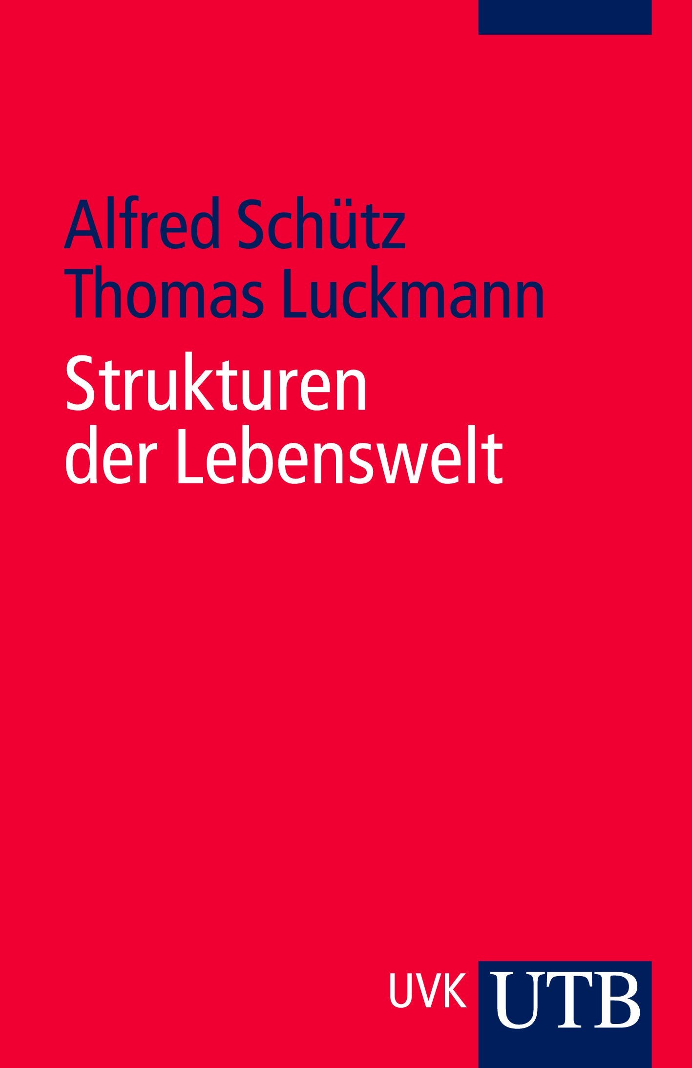Product Image: Strukturen der Lebenswelt