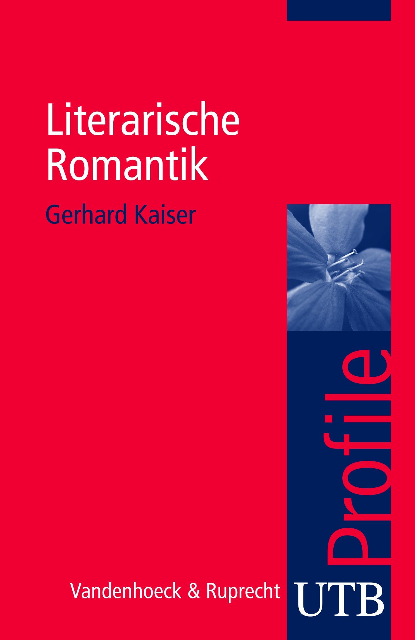 Literarische Romantik Contemporary literature Books