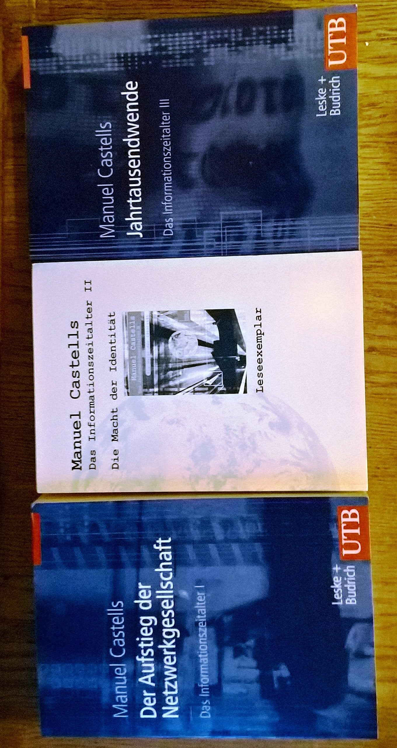 Das Informationszeitalter 1/3. Studienausgabe Business, Finance & Career