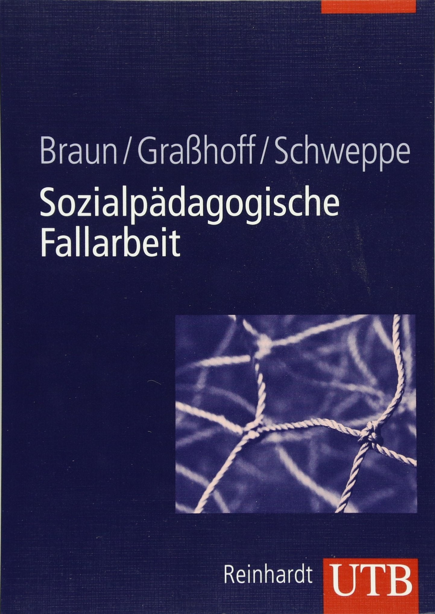 Sozialpädagogische Fallarbeit Social Sciences Books