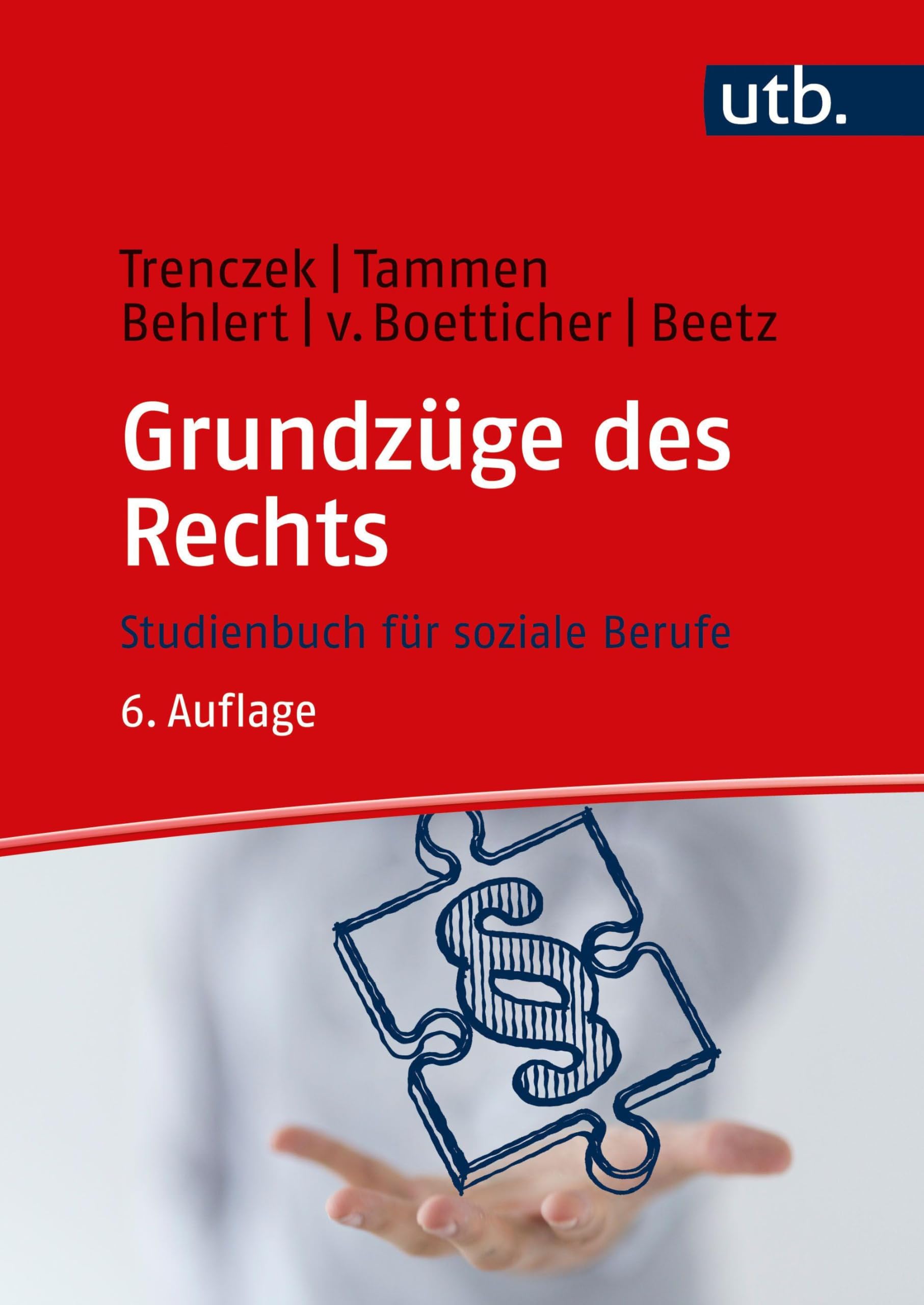 Grundzüge des Rechts. Studienbuch für soziale Berufe (Studienbücher für soziale Berufe) Law
