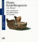 Homo heidelbergensis von Mauer: Das Auftreten des Menschen in Europa (Programm Heidelberger Verlagsanstalt) Business & Technology