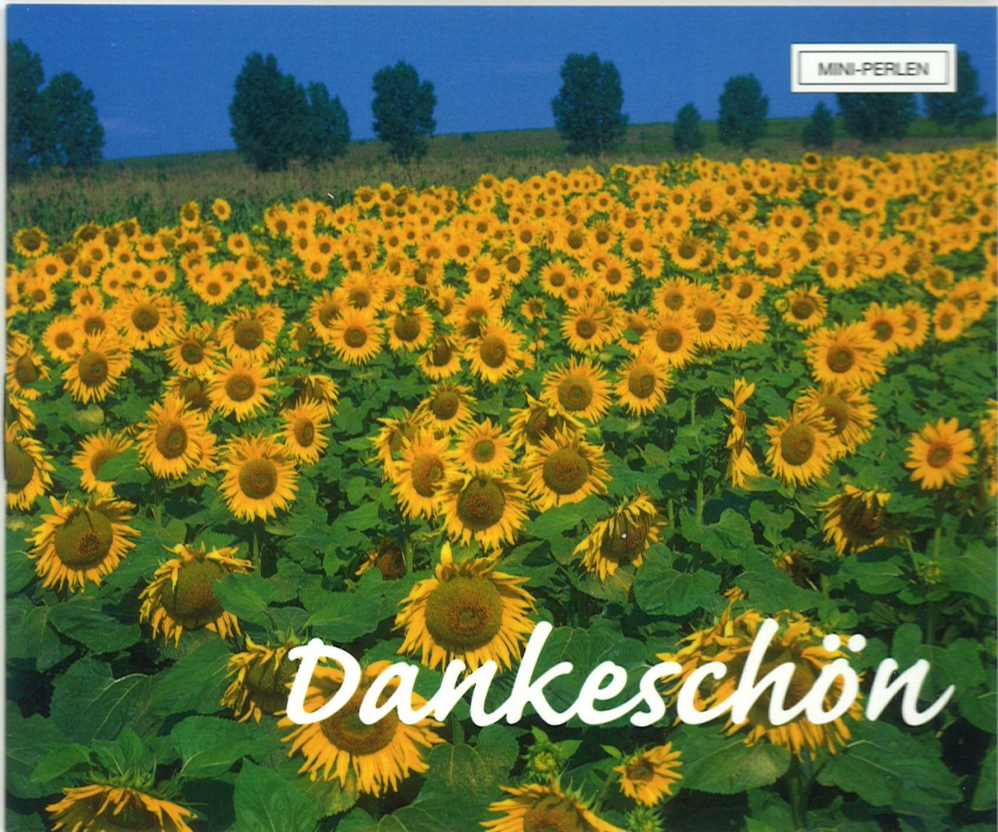 Product Image: Dankeschön (Mini-Perlen)