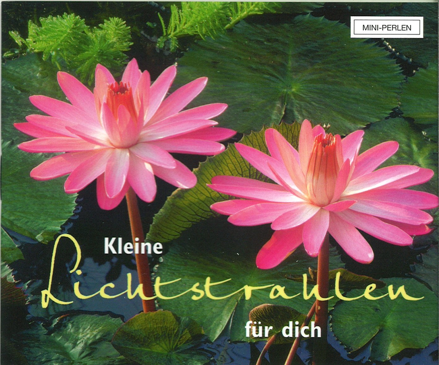 Kleine Lichtstrahlen für dich (Mini-Perlen) Lifestyle