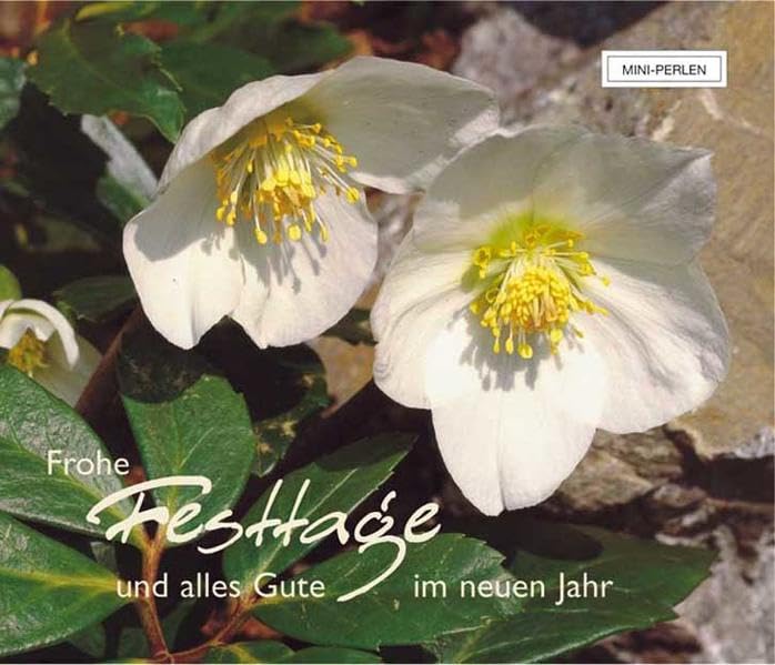 Frohe Festtage und alles Gute im neuen Jahr (Mini-Perlen) Lifestyle