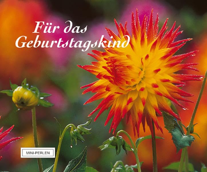 Für das Geburtstagskind: Verkaufseinheit (Mini-Perlen) Lifestyle