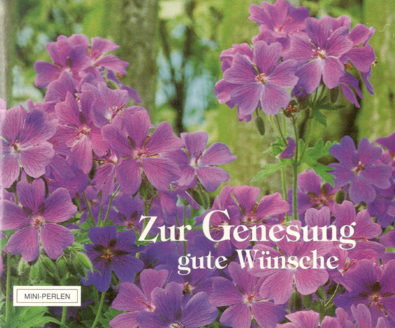 Zur Genesung gute Wünsche (Mini-Perlen) Books