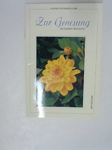 Zur Genesung die besten Wünsche (Kleine Grussbüchlein) Books