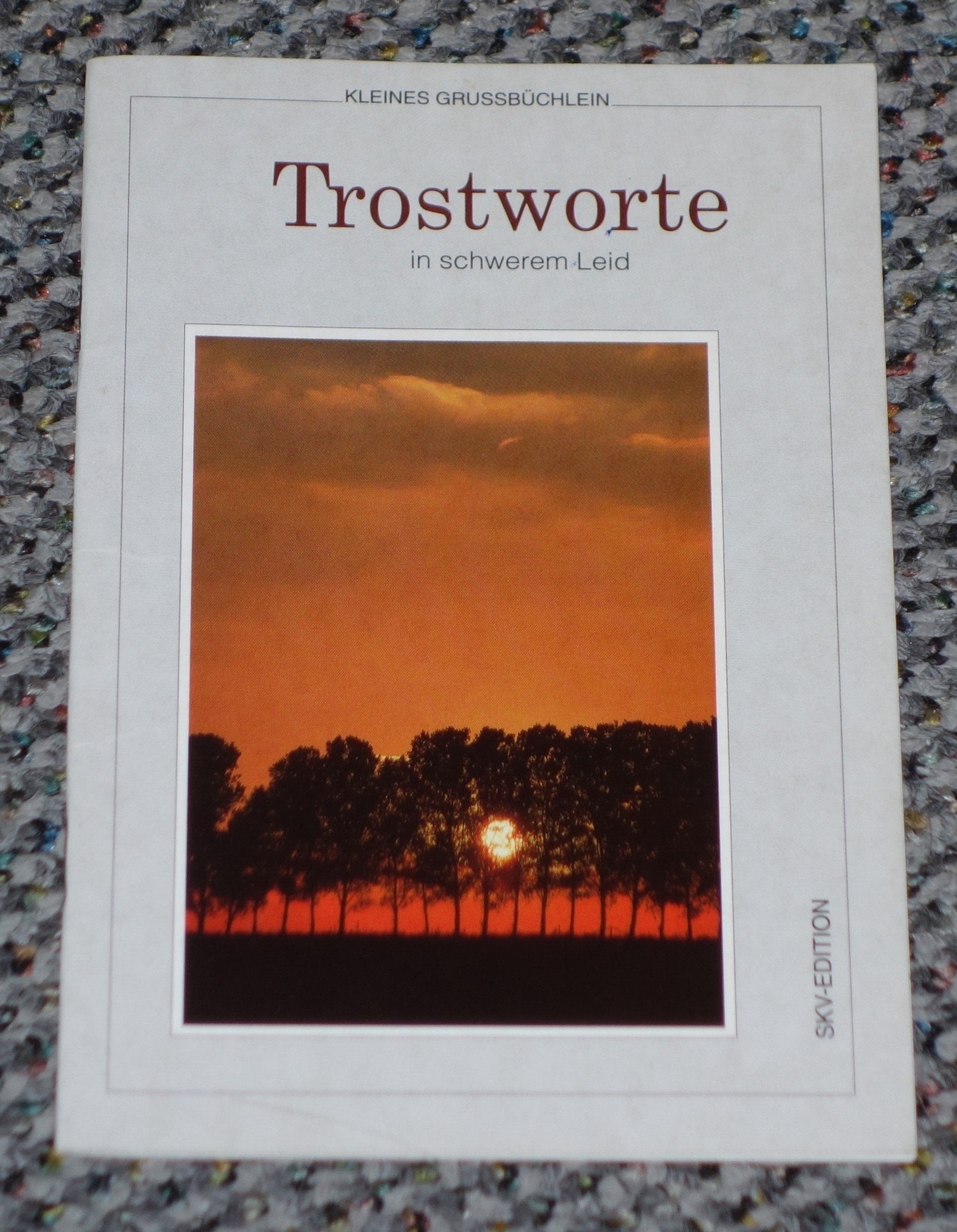 Trostworte in schwerem Leid (Kleine Grussbüchlein) Books