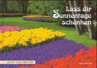 Lass dir Sonnentage schenken (Licht und Freude) Lifestyle