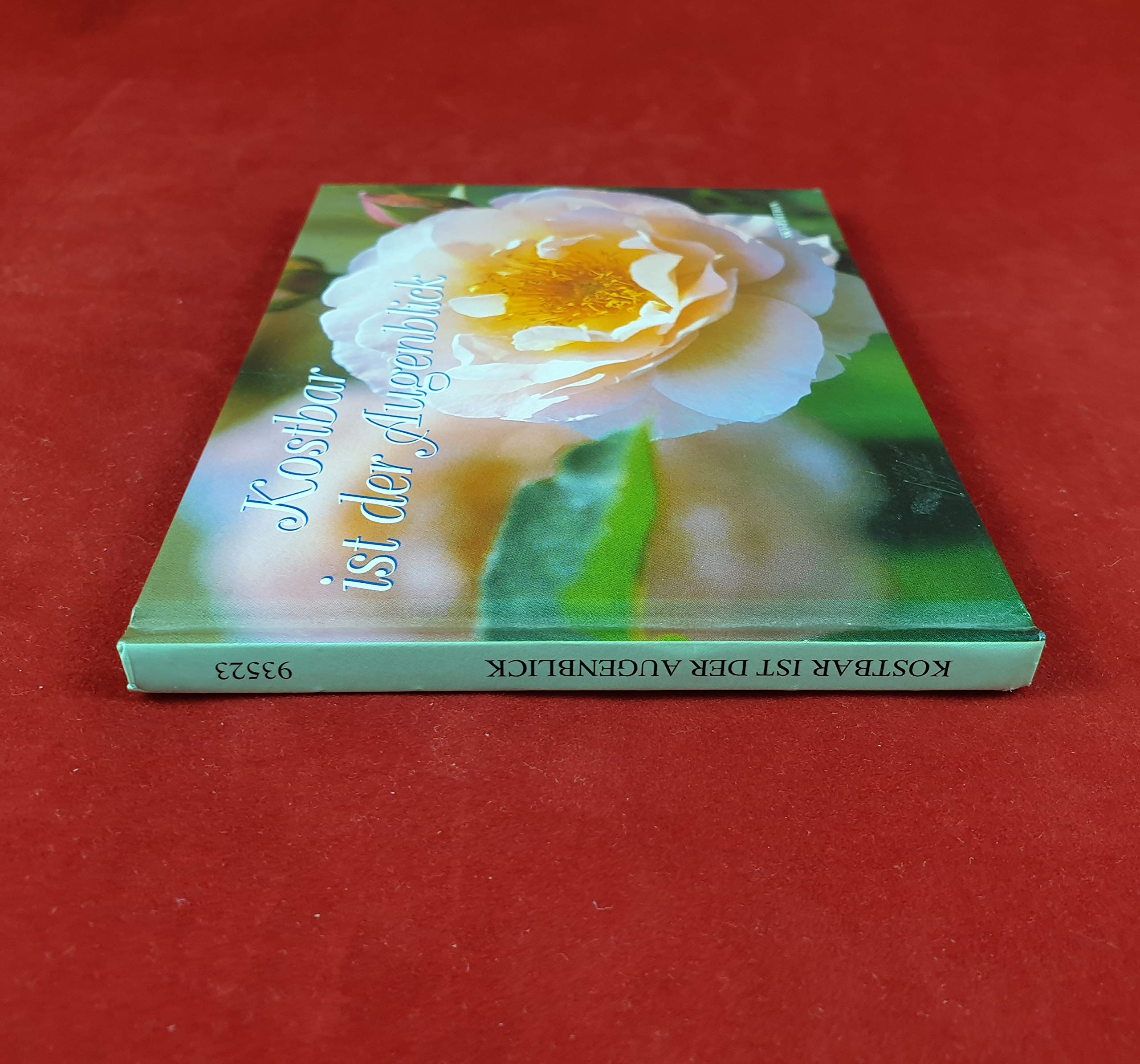 Kostbar ist der Augenblick (Licht und Freude) Lifestyle