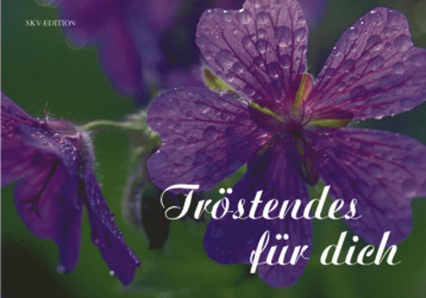 Tröstendes für dich (Licht und Freude) Lifestyle