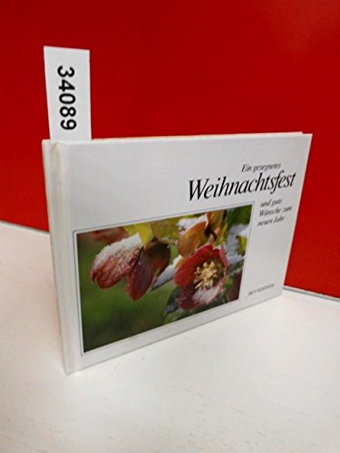 Ein gesegnetes Weihnachtsfest und gute Wünsche zum neuen Jahr (Zur Weihnachtszeit) Travel Books