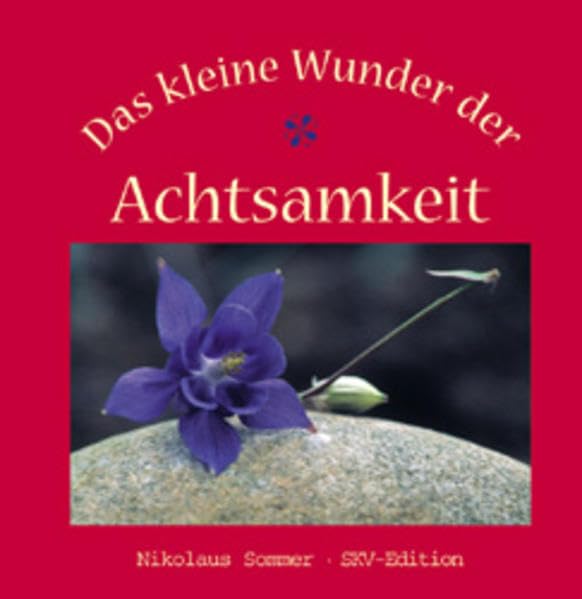 Das kleine Wunder der Achtsamkeit Lifestyle