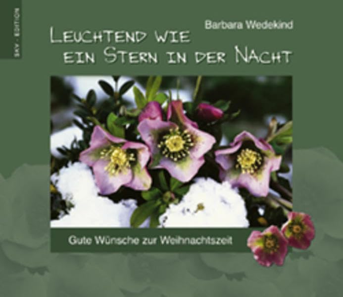 Leuchtend wie ein Stern in der Nacht: Gute Wünsche zur Weihnachtszeit Lifestyle