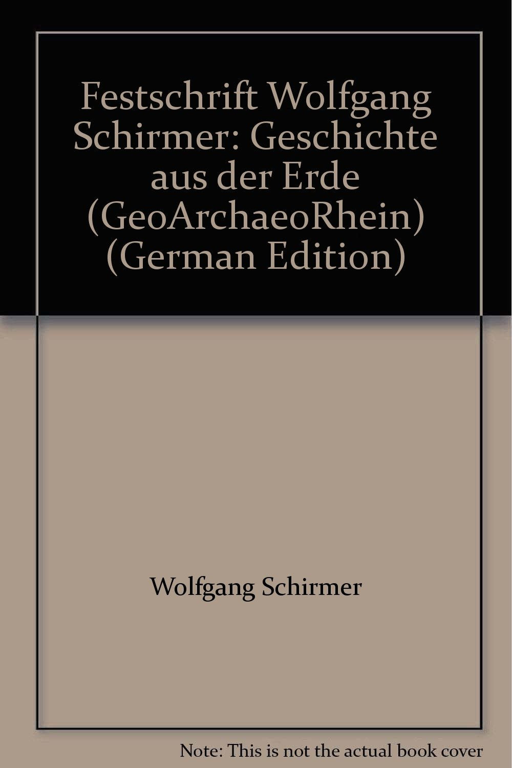 Festschrift Wolfgang Schirmer: Geschichte aus der Erde Books