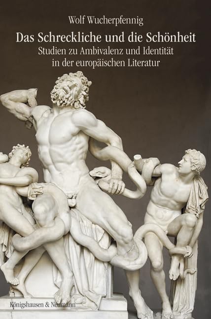 Das Schreckliche und die Schönheit: Studien zu Ambivalenz und Identität in der europäischen Literatur Contemporary literature
