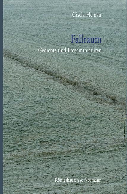 Fallraum Contemporary literature Books