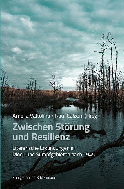 Zwischen Störung und Resilienz Social Sciences