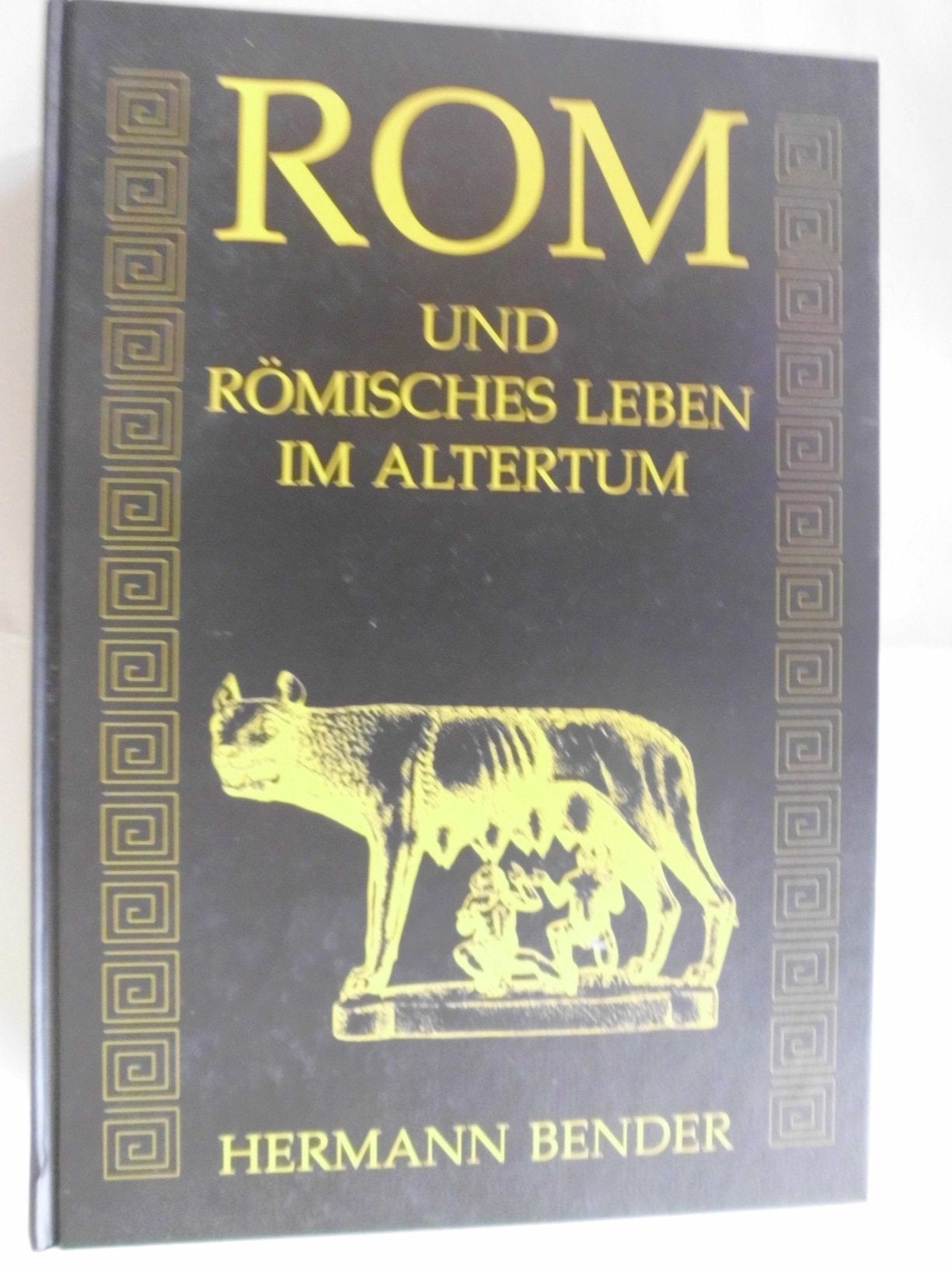 Product Image: Rom und römisches Leben im Altertum