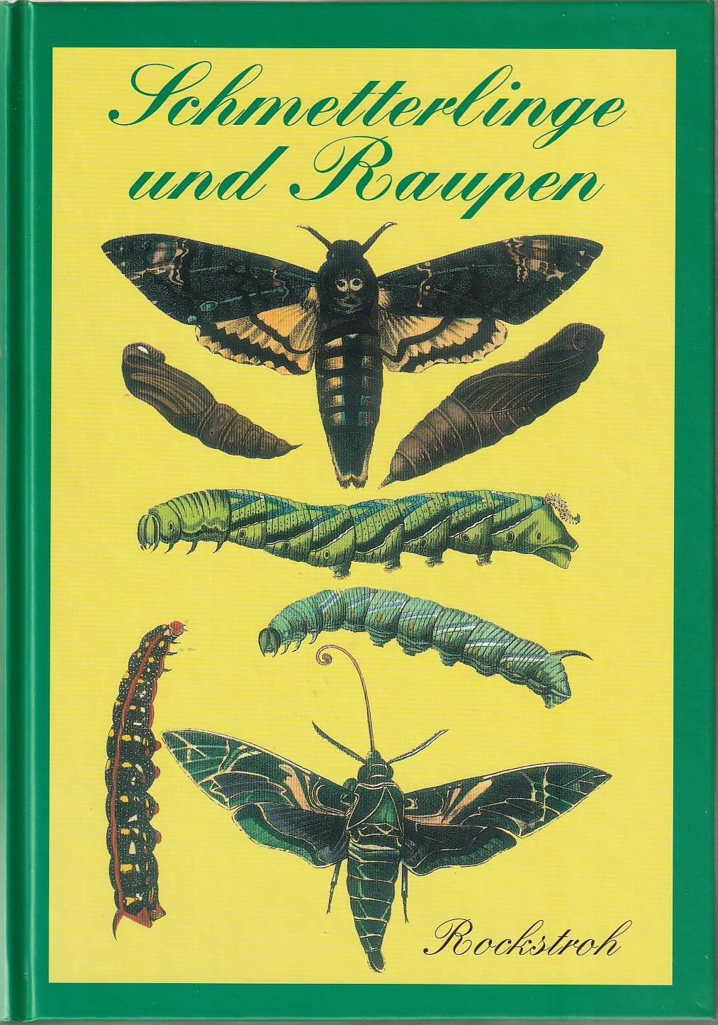 Schmetterlinge und Raupen Natural Sciences