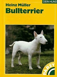 Bullterrier Natural Sciences