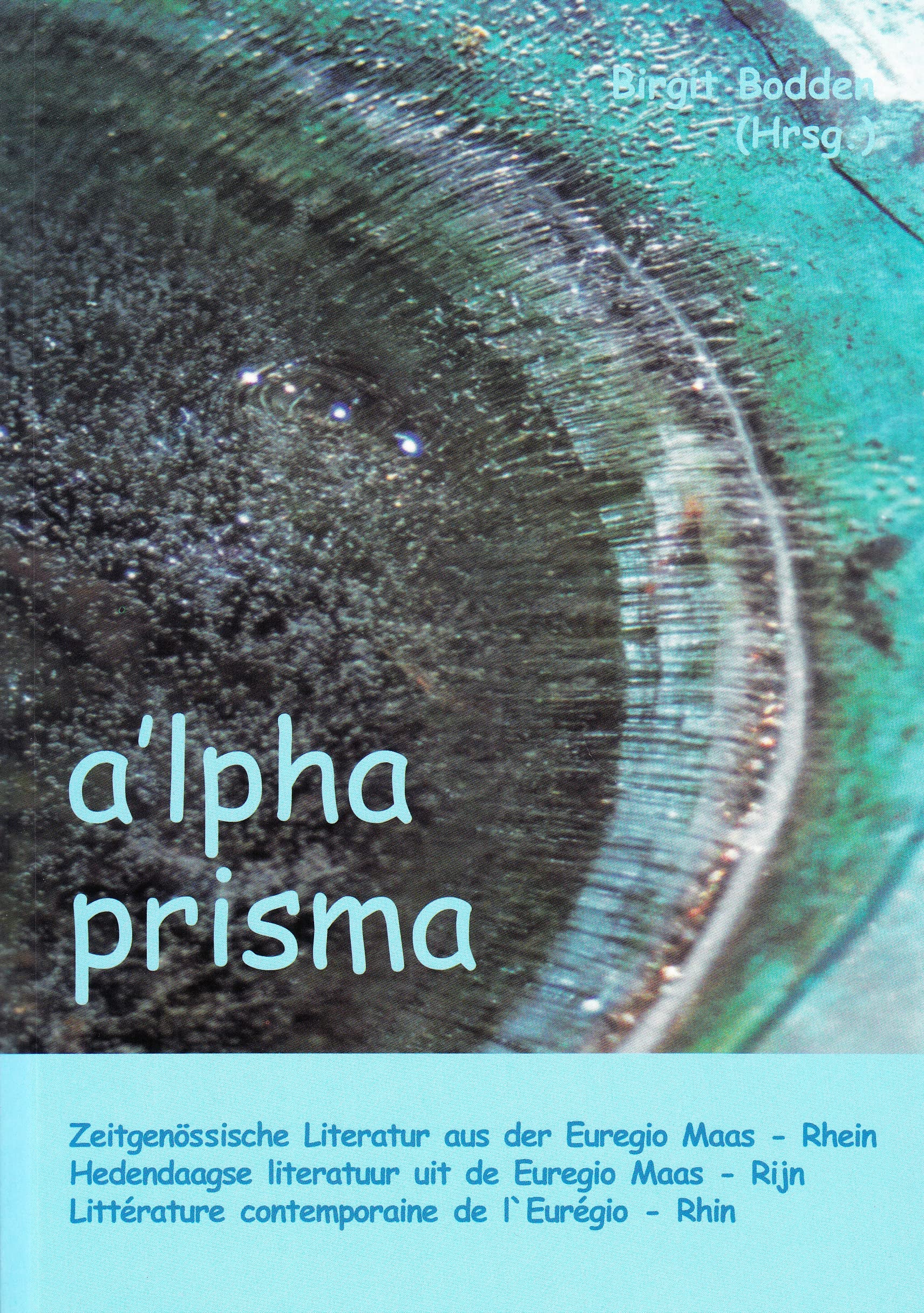 a'lpha prisma. Zeitgenössische Literatur aus der Euregio Maas-Rhein Books