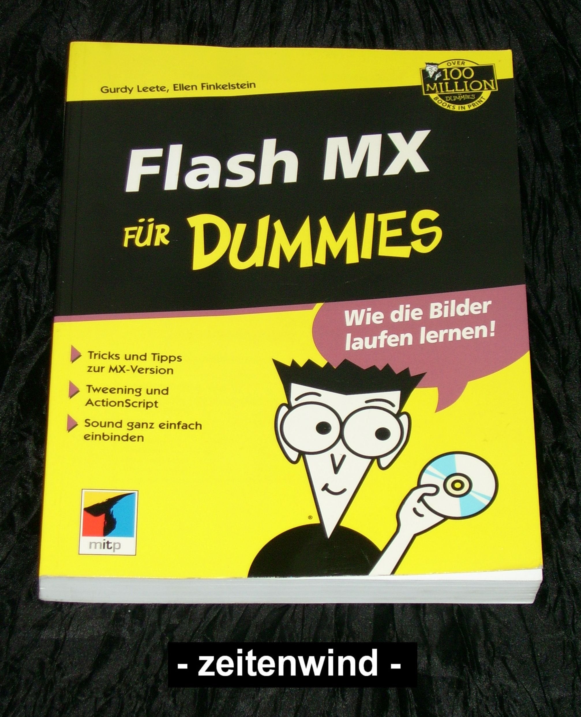 Flash MX für Dummies Computer Science