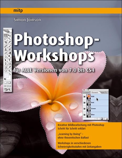Photoshop-Workshops - für ALLE Versionen von 7.0 bis CS4 (mitp Grafik) Film, Art & Culture