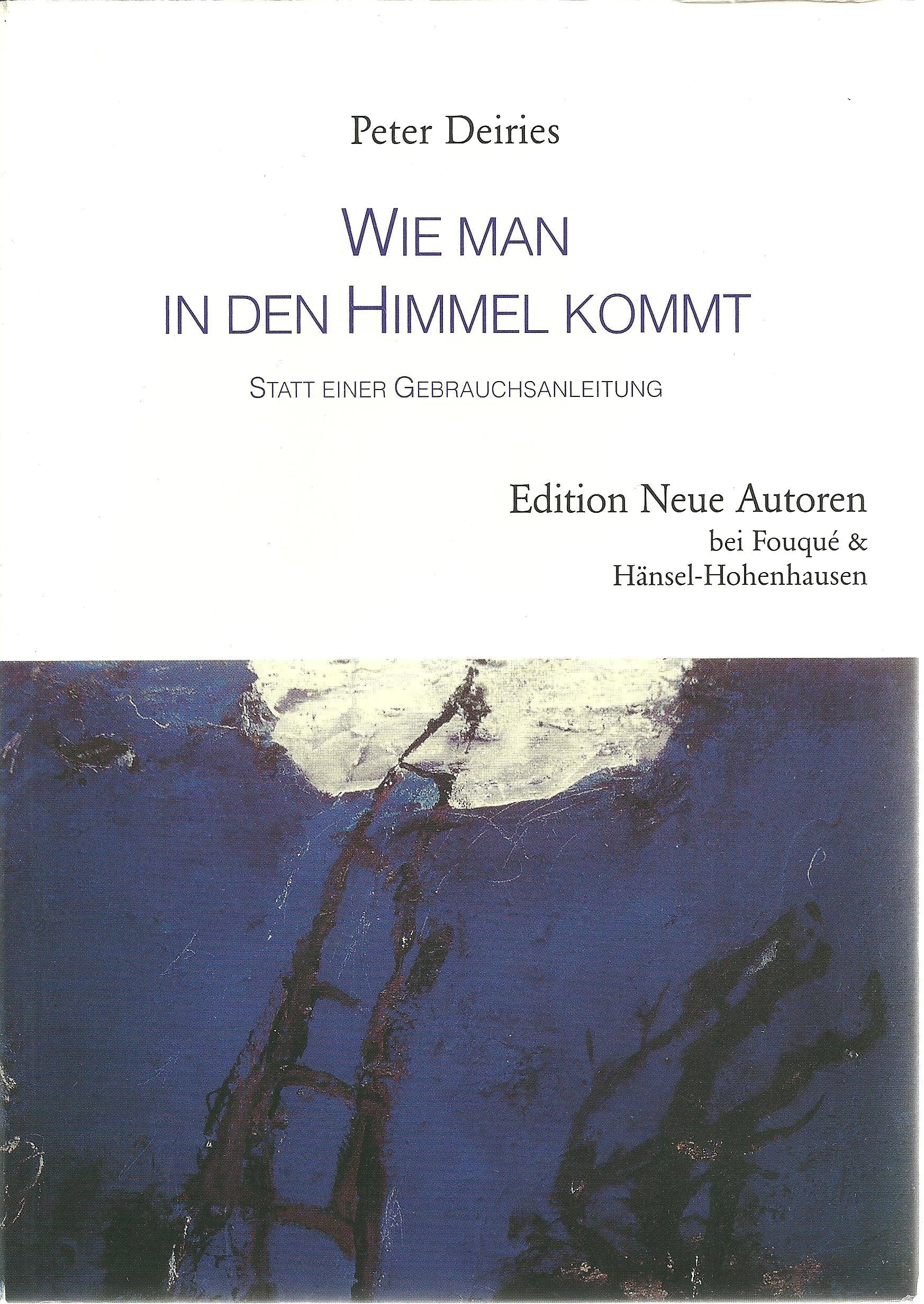 Wie man in den Himmel kommt - Statt einer Gebrauchsanleitung (Edition Neue Autoren) Politics & Society