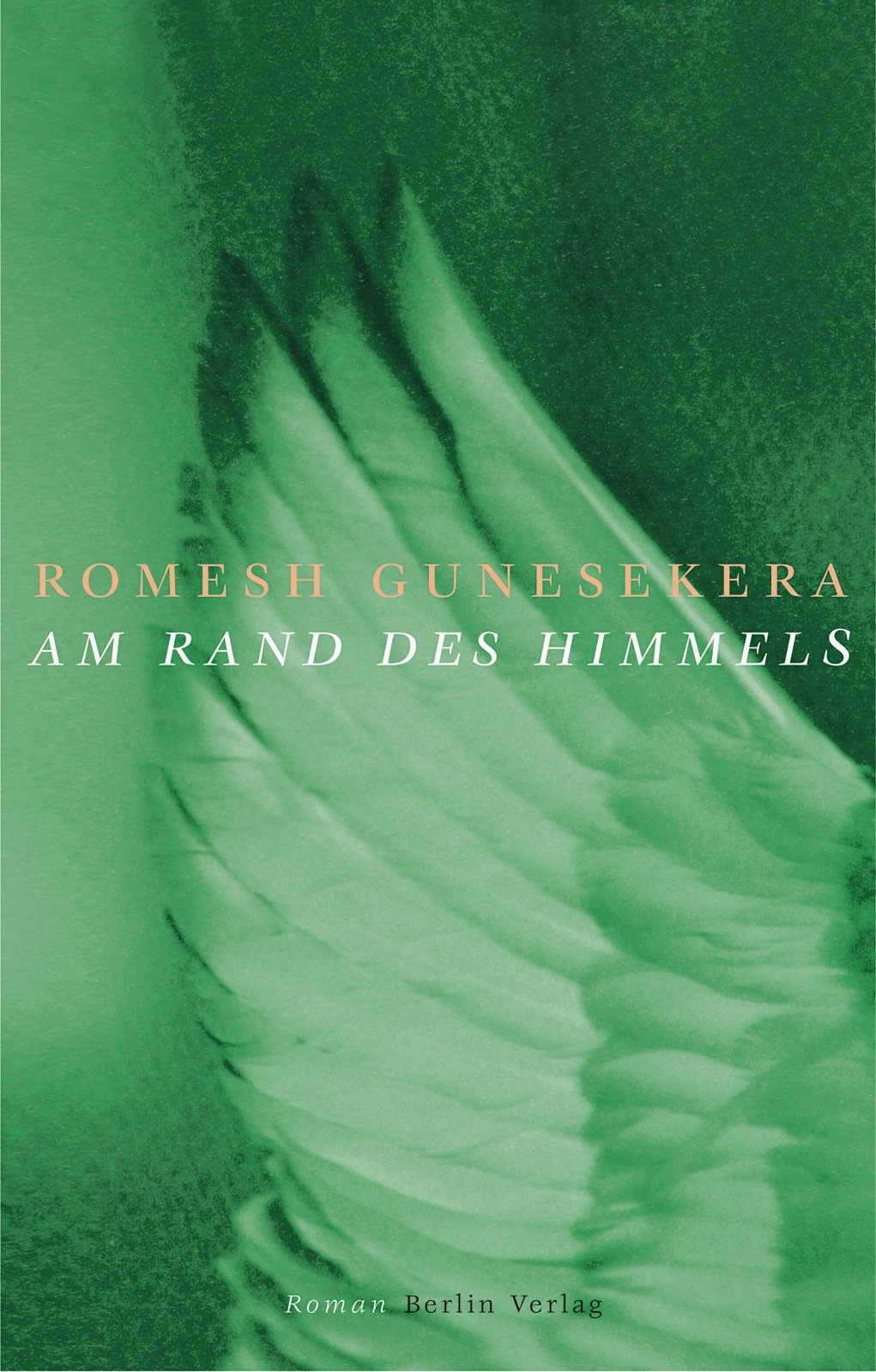 Am Rand des Himmels: Roman Contemporary literature