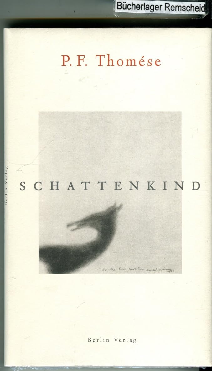 Schattenkind Contemporary literature Books