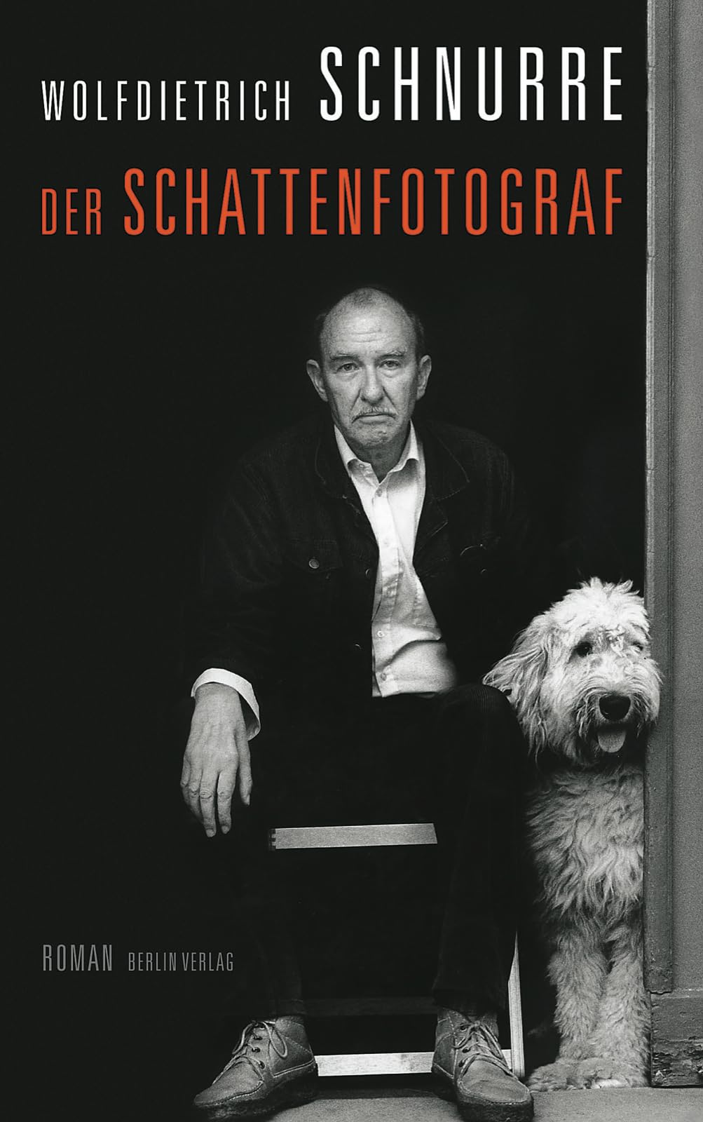 Der Schattenfotograf: Roman Contemporary literature
