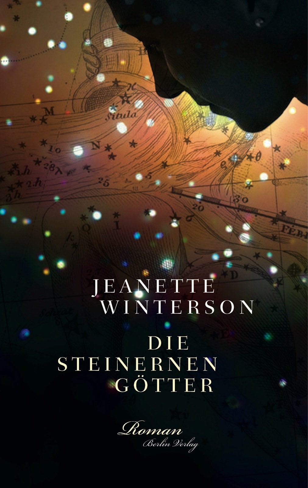 Die steinernen Götter: Roman Contemporary literature