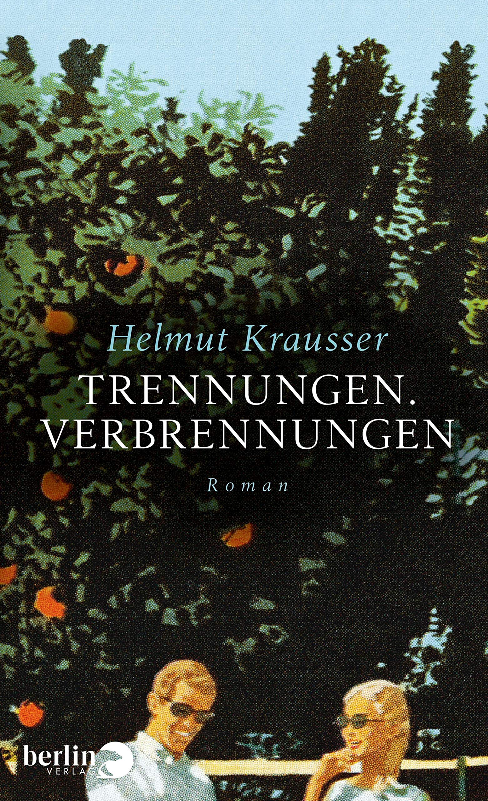 Trennungen. Verbrennungen Contemporary literature