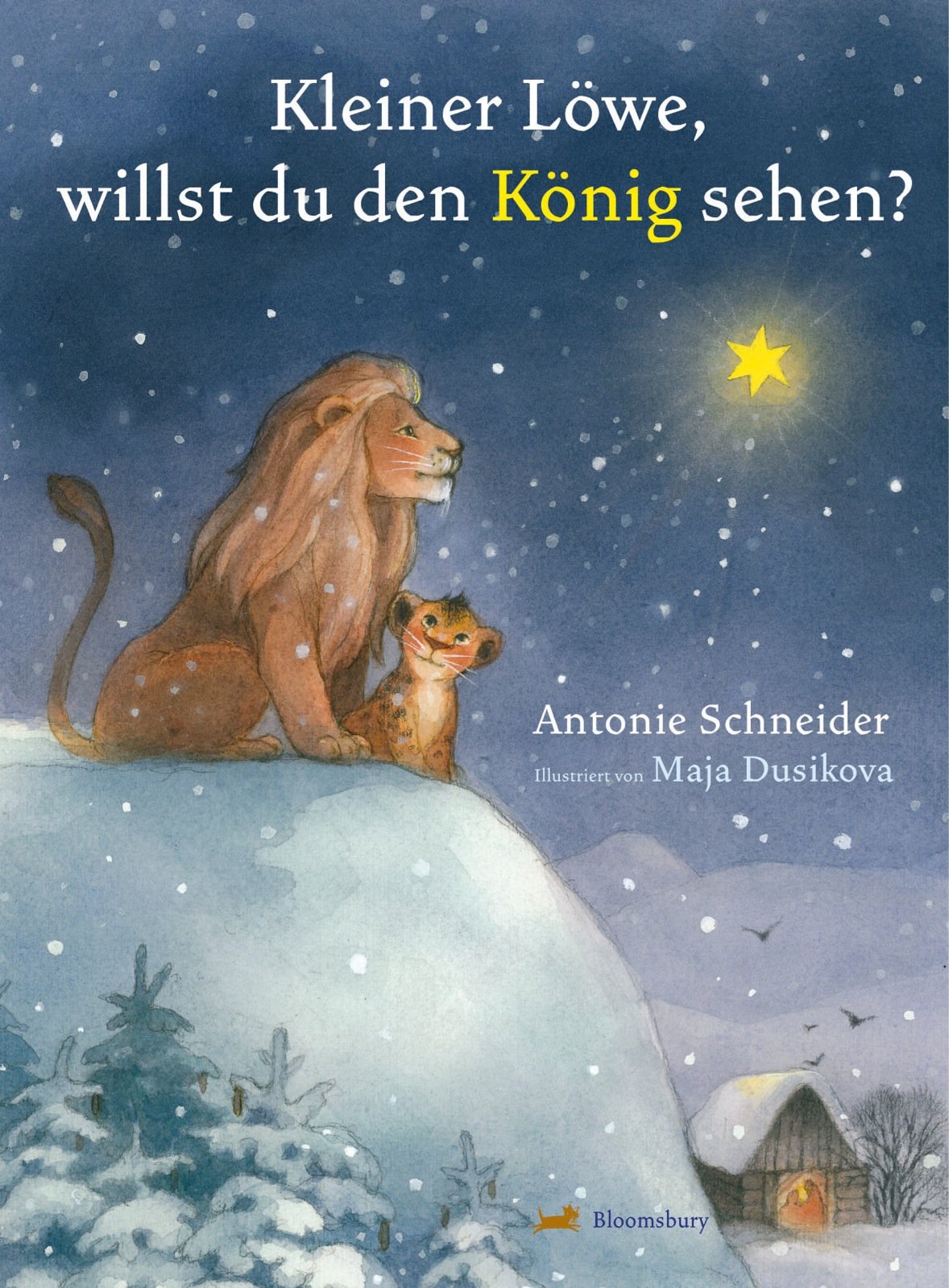Kleiner Löwe, willst du den König sehen? Children's books