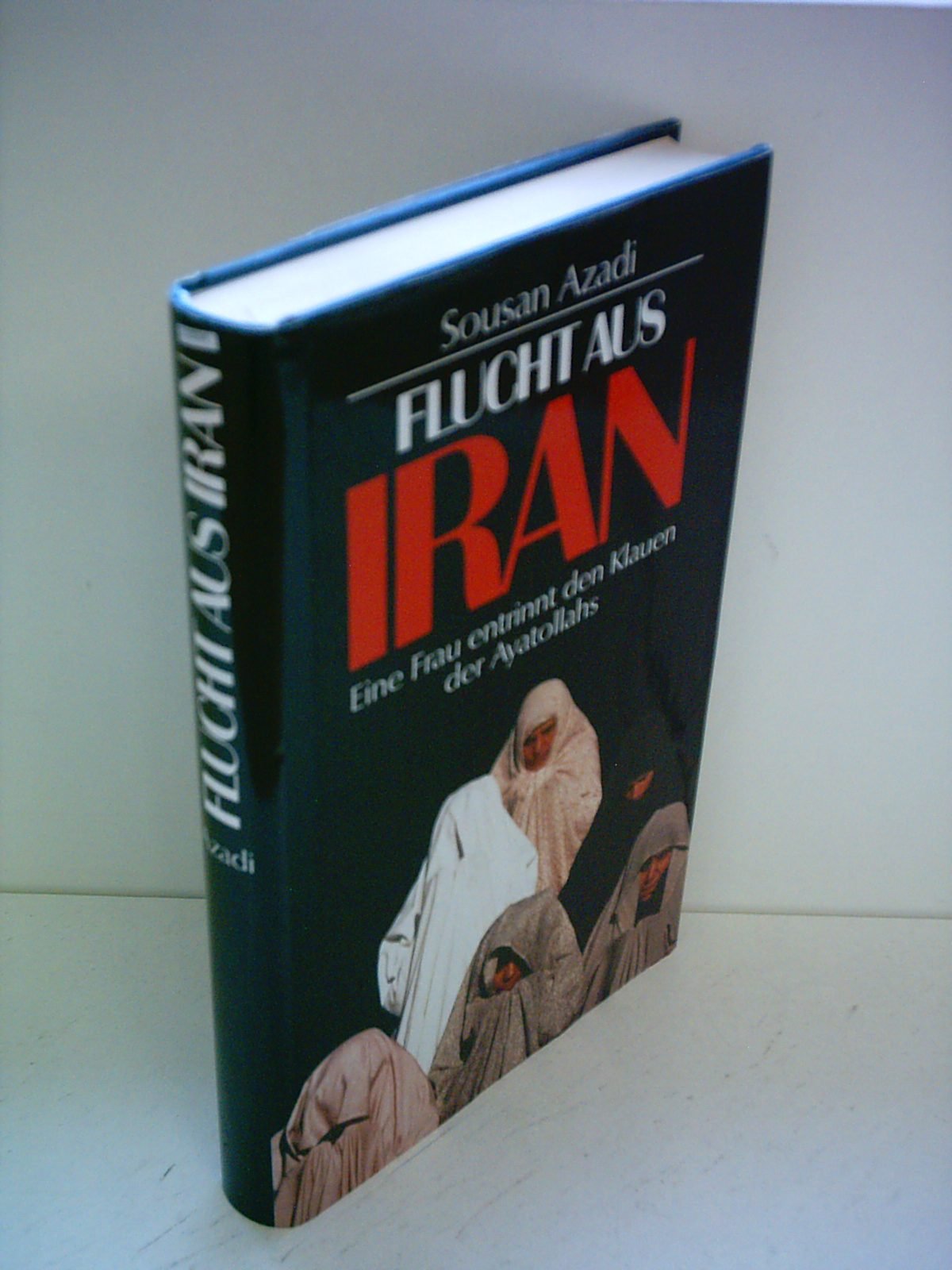 Flucht aus Iran: Eine Frau entrinnt den Klauen der Ayatollahs (Edition Richarz im Verlag C W Niemeyer. Grossdruckreihe / Bücher in grosser Schrift) Fiction Books