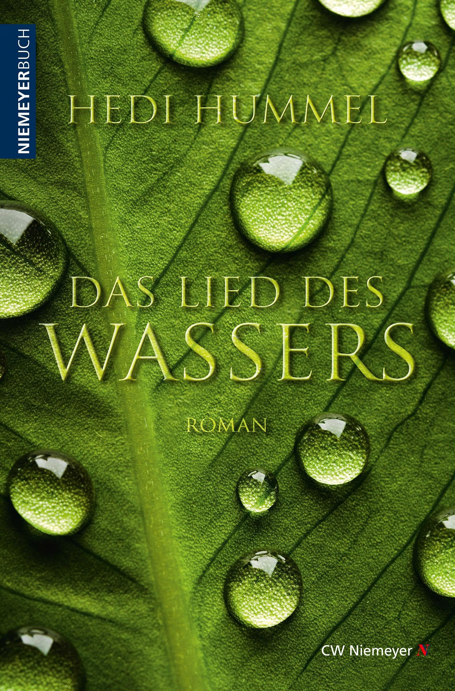Das Lied des Wassers Contemporary literature Books