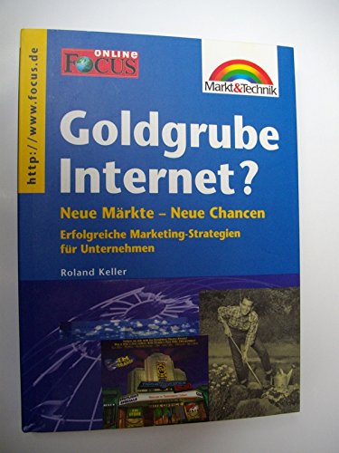 Goldgrube Internet?: Erfolgreiche Marketing-Strategien für Unternehmen (Focus Online Edition) Books