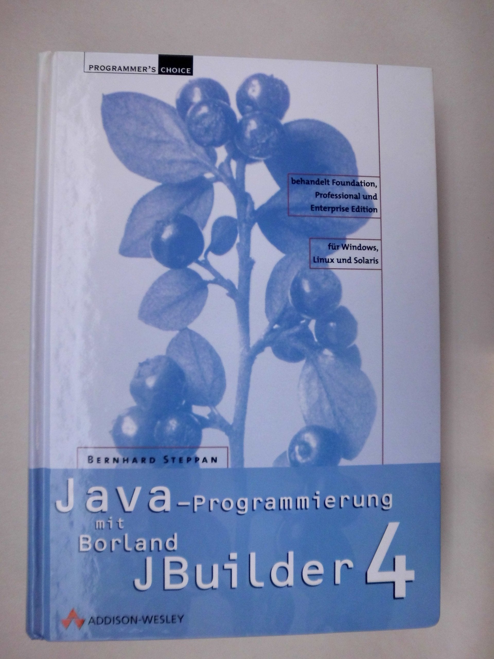 Java-Programmierung mit Borland JBuilder 4 . (Programmer's Choice) Computer Science