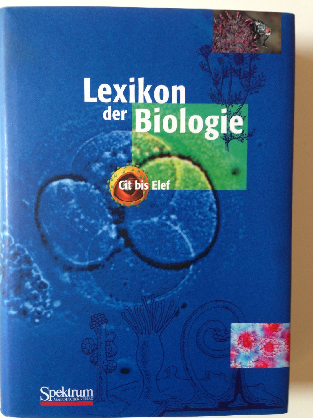 Lexikon der Biologie (Bd. 4) Natural Sciences
