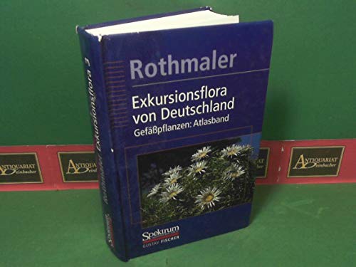 Exkursionsflora von Deutschland, 4 Bde., Bd.3, Gefäßpflanzen, Atlasband: Gefässpflanzen - Atlasband Natural Sciences
