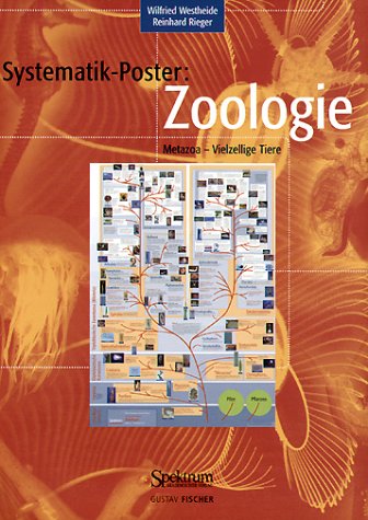 Systematik-Poster: Zoologie (Metazoa - Vielzellige Tiere) Mathematics