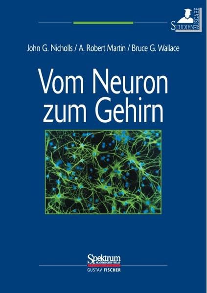 Vom Neuron zum Gehirn (Studienausgabe): Zum Verständnis der zellulären und molekularen Funktion des Nervensystems Medicine
