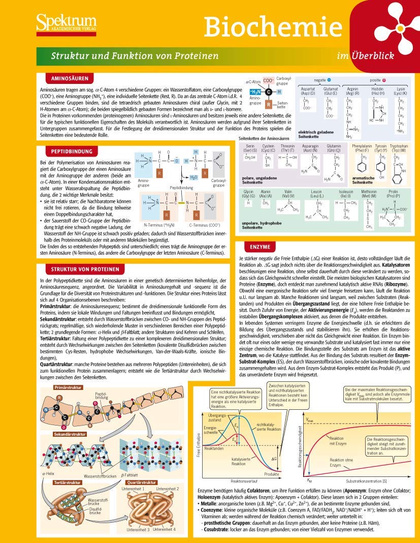 Lerntafel: Biochemie im Überblick (Lerntafeln Biologie) Natural Sciences