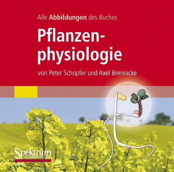 Alle Grafiken des Lehrbuchs Pflanzenphysiologie Medicine