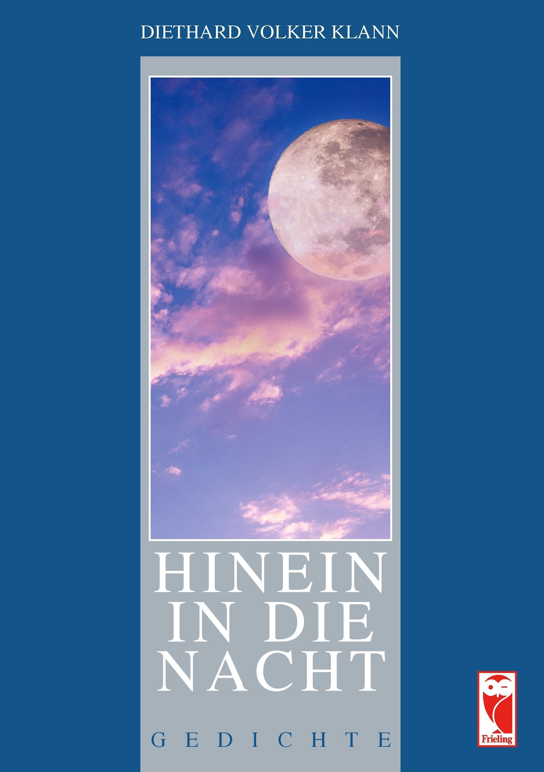 Hinein in die Nacht: Gedichte Poetry